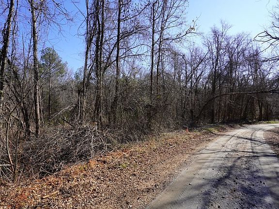 2nd image of 0 Gene Fleming Rd