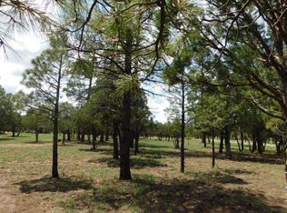 2707 Deer Path, Happy Jack, AZ 86024