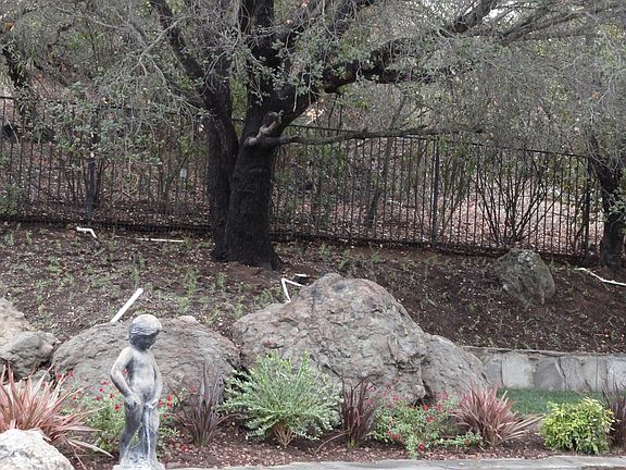 Charming pool fountain