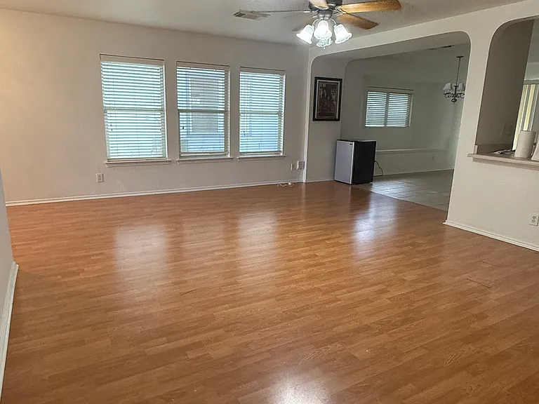 7254 Dwarf Palm — Photo 5