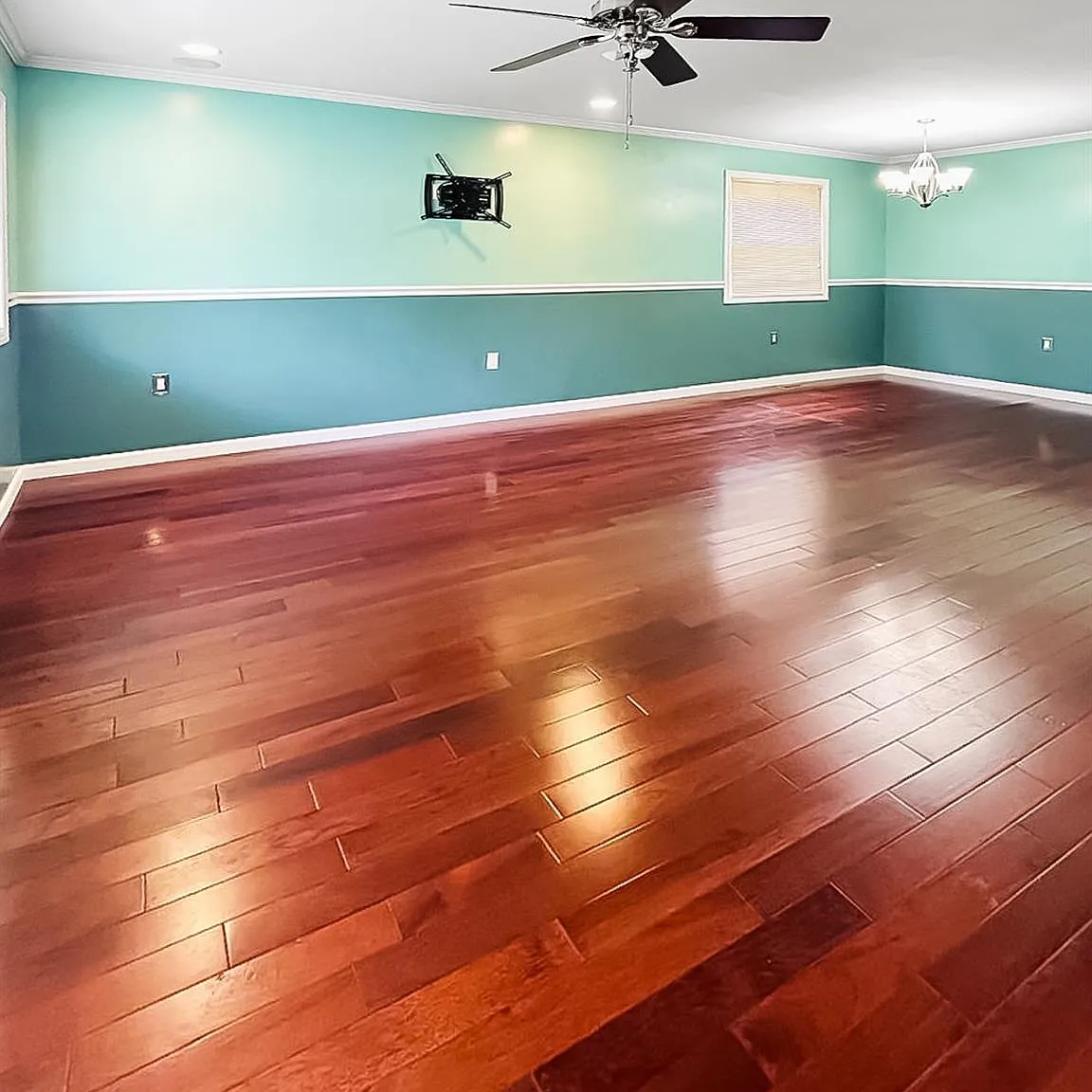 2 bed, 1.0 bath, 900 sqft, $2,600 — Photo 3