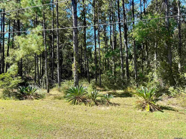 41445 Jodie Ln, Hammond, LA 70403