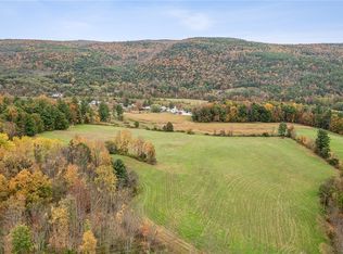 171 Westkill Rd, North Blenheim, NY 12131