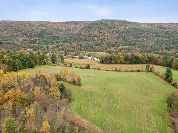 171 Westkill Rd, North Blenheim, NY 12131