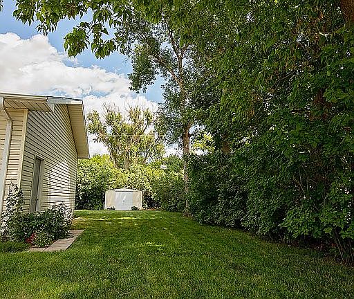 South side yard looking East