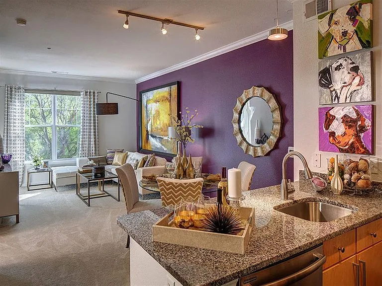 The Residences at Congressional Village — Photo 26