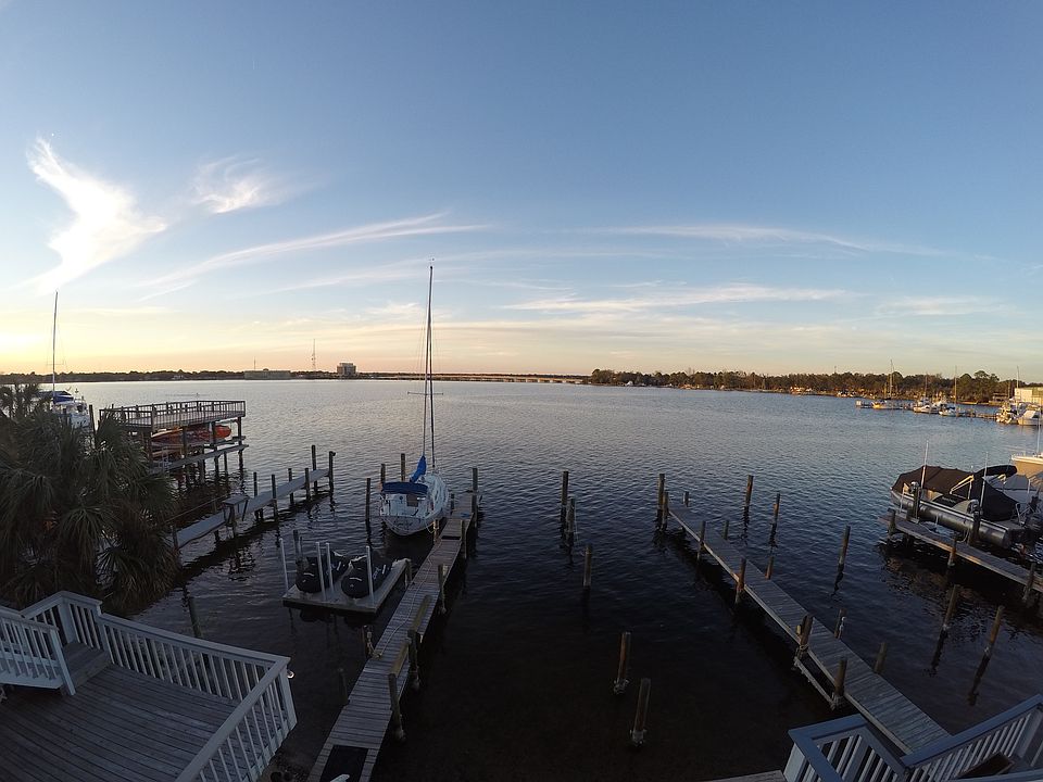 View of backyard