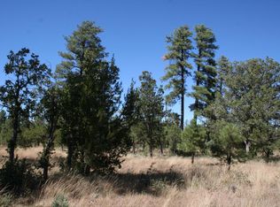 4376 Durango Dr, Happy Jack, AZ 86024