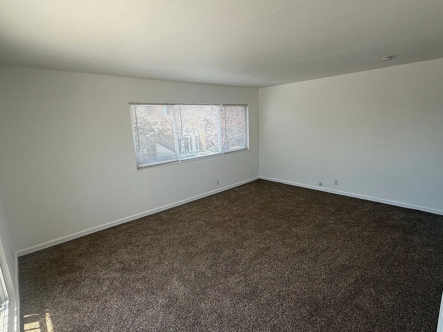 Willard Ave - 301 — Photo 4