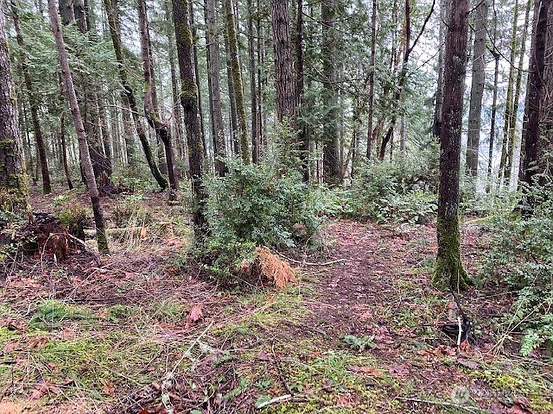 5th image of 0 Elk Street