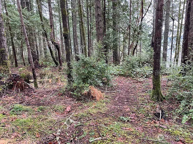 0 Bear Street photo 1