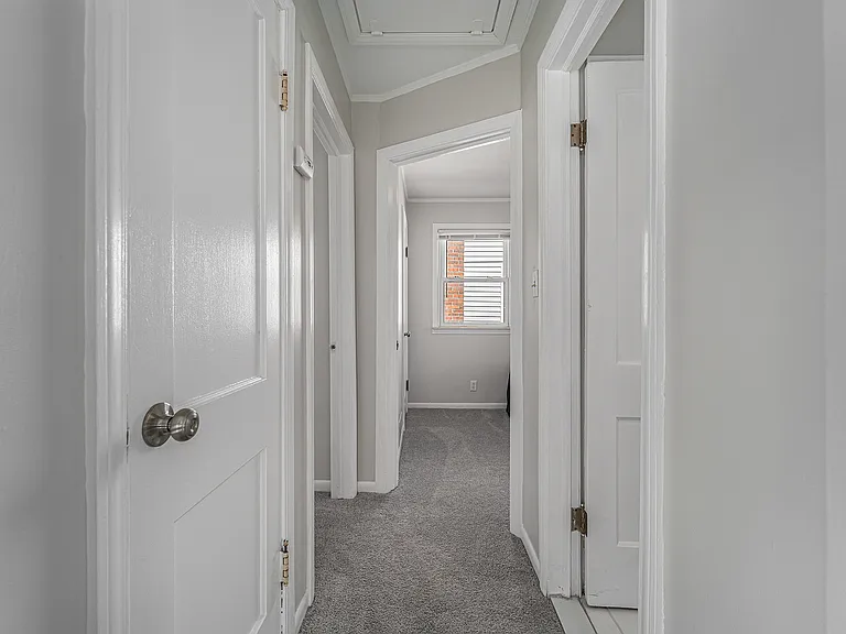 3335 Williams St — Photo 6