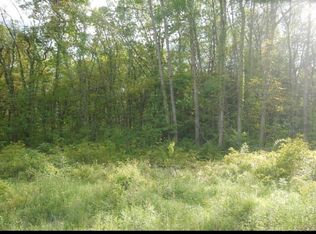 0 Moore Dr, Allegan, MI