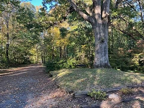 Front yard and long gravel driveway