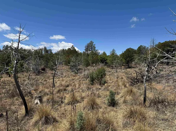 Waialae Dr, Timberon, NM 88350