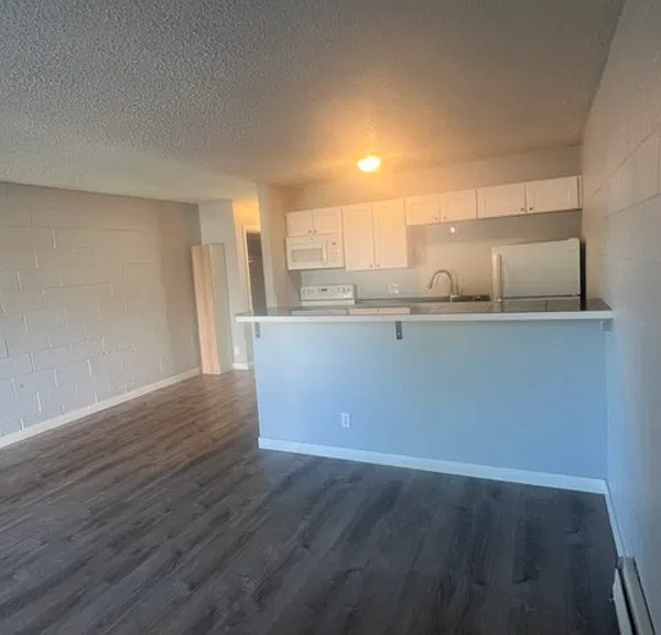 2229 Collyer St #3 — Photo 3