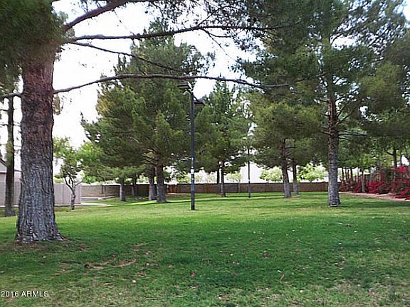 5th image of 3314 E Lavey Ln Unit 101