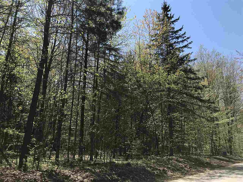 1st image of Birch Dr