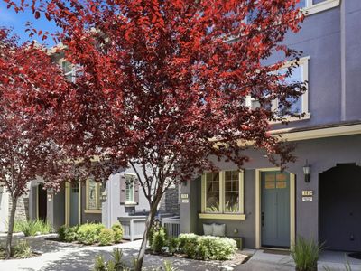 145 Ivory Palm Trl, Sunnyvale, CA, 94086