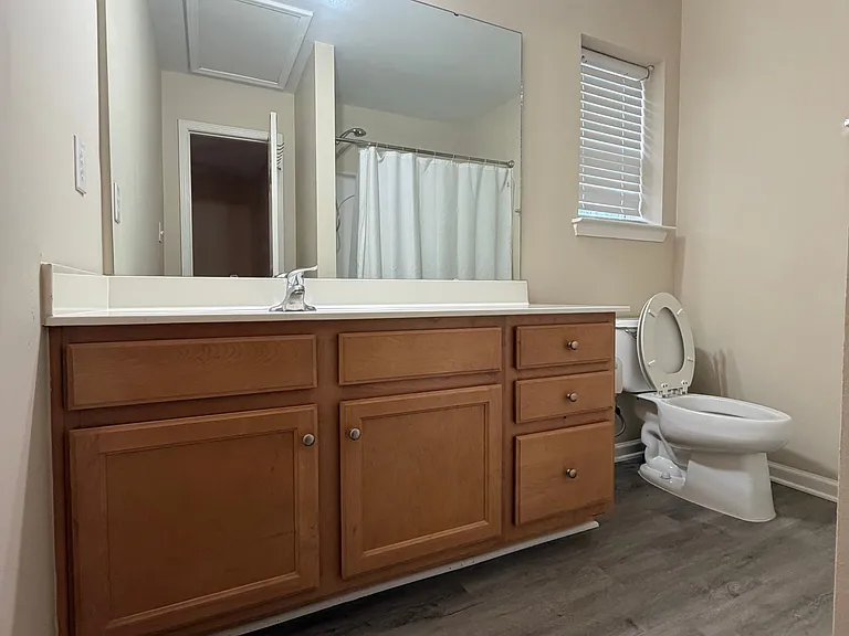 210 Bridford Downs Dr — Photo 21