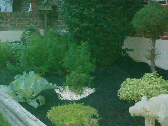 3rd image of 15389 Siesta Ave