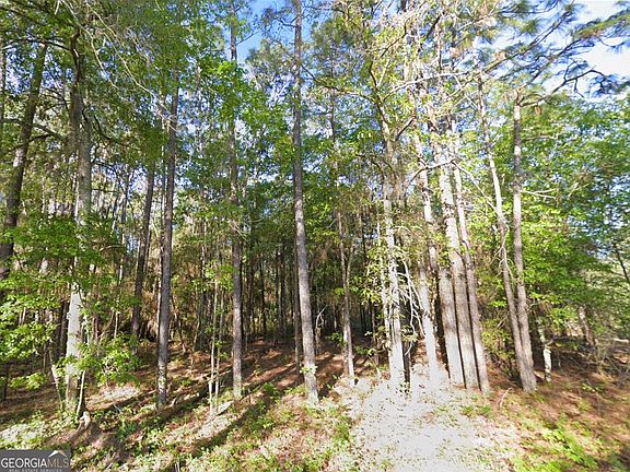 5th image of 0 Mann Rd