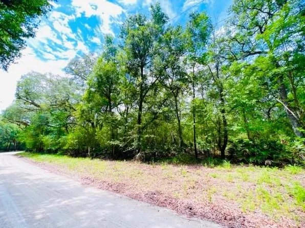 SE Earl Blvd, Branford, FL 32008