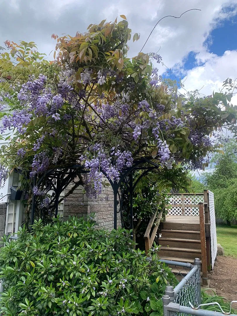 Spacious and bright — Photo 4