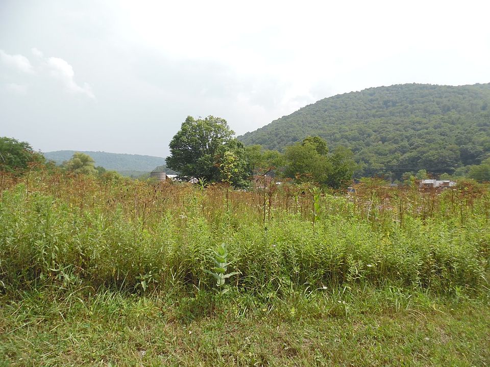 180 Fassifern Fields Rd 1, Slatyfork, WV 26291 Zillow