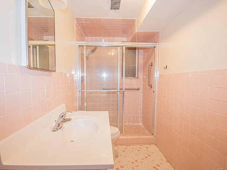 Lower Level Shared Bathroom