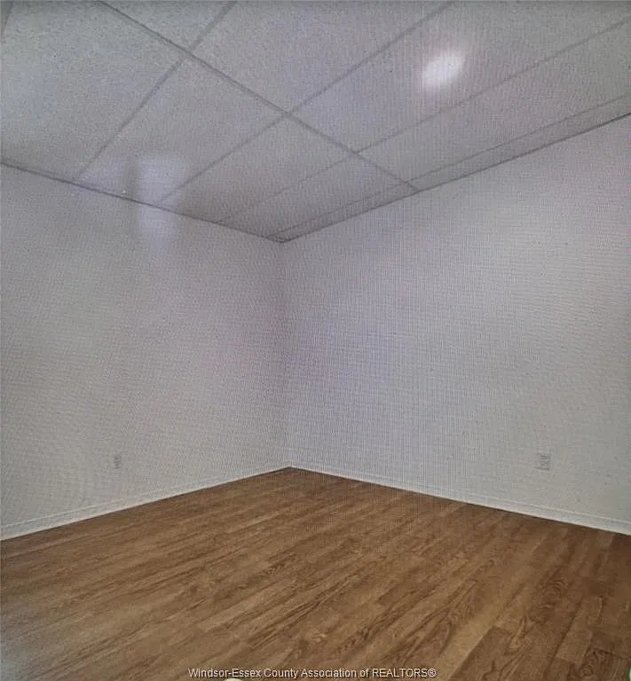 1 bed, $1,250 — Photo 3