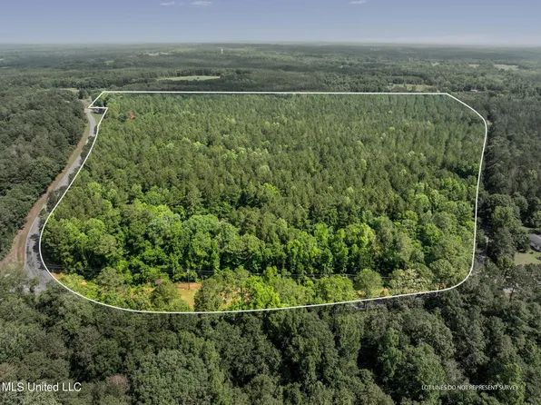 Shirley Sanford Rd, Seminary, MS 39479