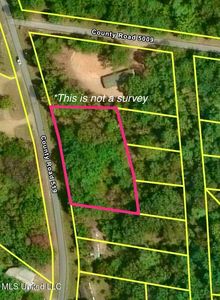 County Road 519 Lot 2, Como, MS, 38619