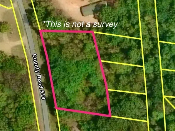 County Road 519 Lot 2, Como, MS 38619