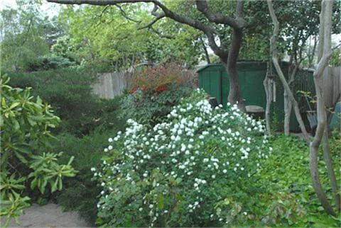 Lush Landscaping