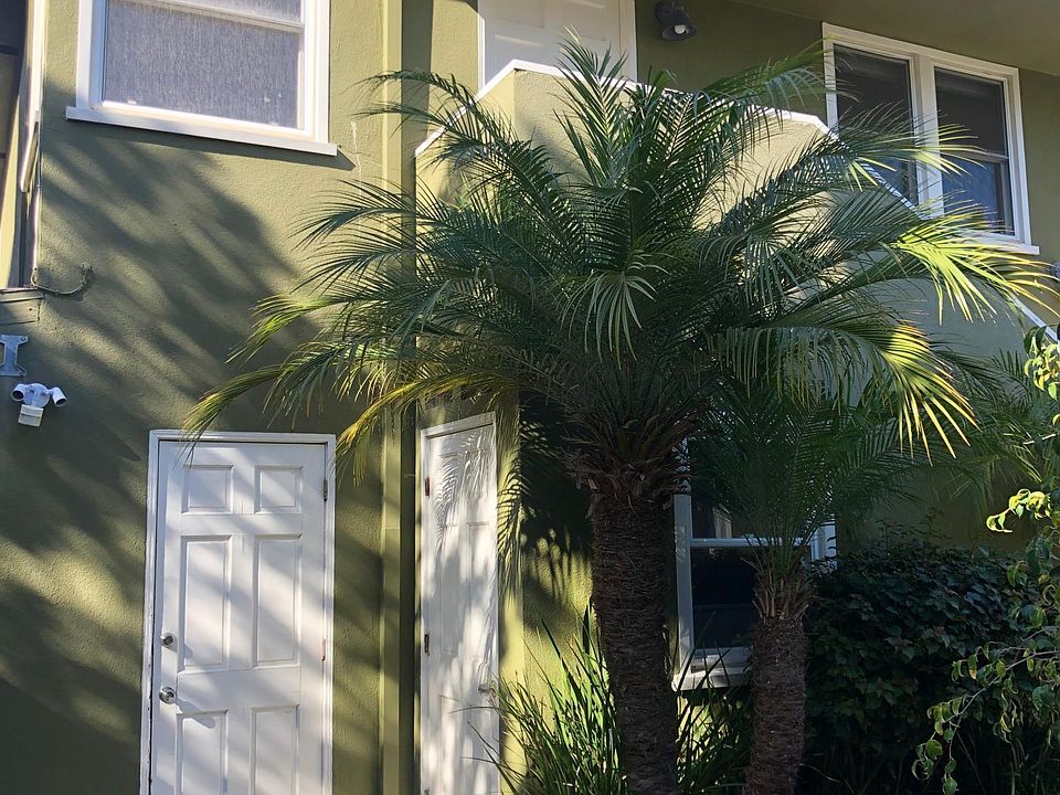 Apartment is upstairs over owner's storage garage so no downstairs neighbors to keep quiet for.