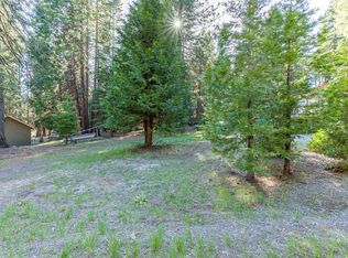 715 Conifer Trl, Westwood, CA 96137