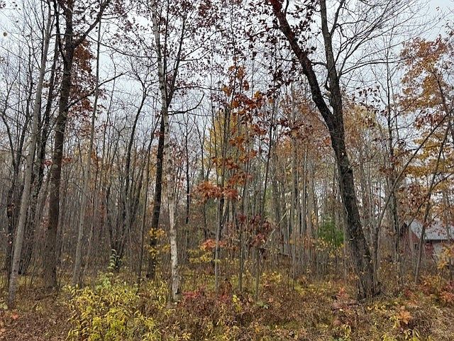 2nd image of Lot 11 N Silver Birch Drive