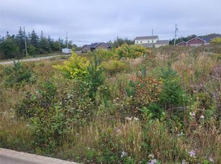 1 Ridgeview Ave, Stephenville, NL A2N