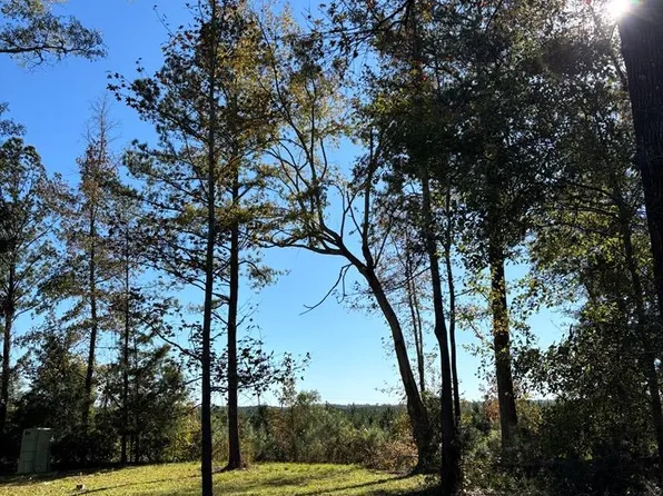 3758 State Highway 26 W, Buena Vista, GA 31803