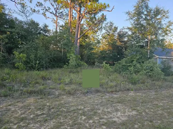 12 Shenandoah Blvd, Chipley, FL 32428