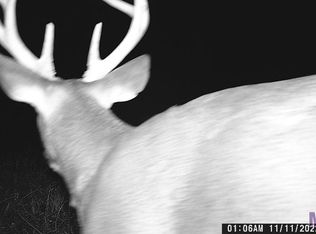 LOT 1 Line Rd, Ethel, LA 70730