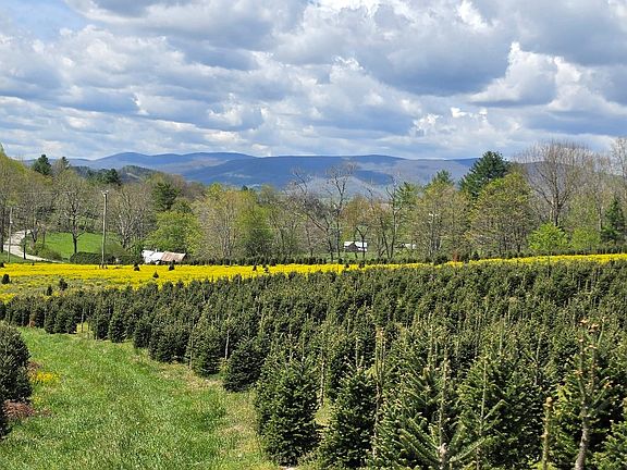 4th image of Rabbit Fork Rd