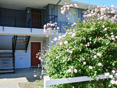 3639 San Remo Dr APT 4, Santa Barbara, CA, 93105