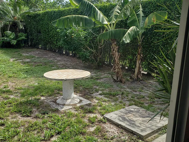 backyard