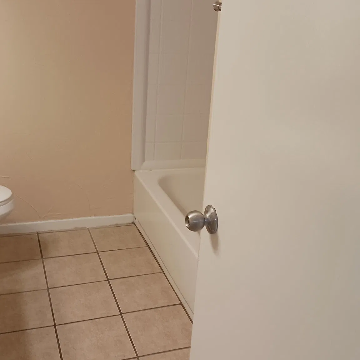 2 bed, 890 sqft, $1,300 — Photo 3