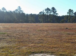 Highway 917, Nichols, SC 29581