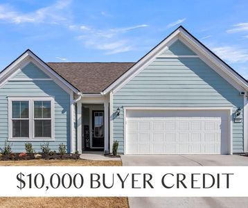 310 Autumn Azalea Way, Summerville, SC, 29486