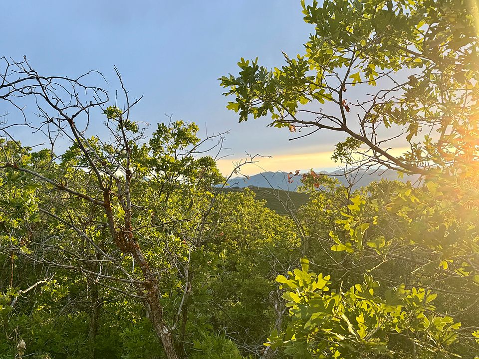 1st image of 1556 S Tree Top Ln