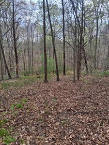 0 W Garretts Creek Rd, Westmoreland, TN, 37186
